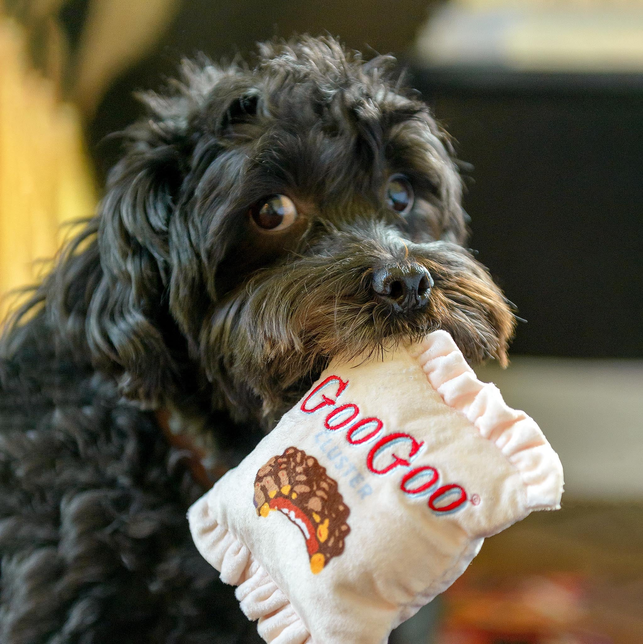 Wrapper Dog Toy Plush - Image 3